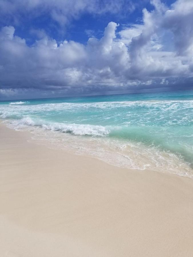 Amazing Caribbean Ocean View At Villas Marlin In Cancún Exteriör bild